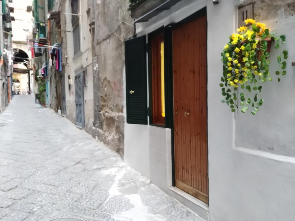 Il Rifugio Di Pulcinella Restyling Casa vacanze *